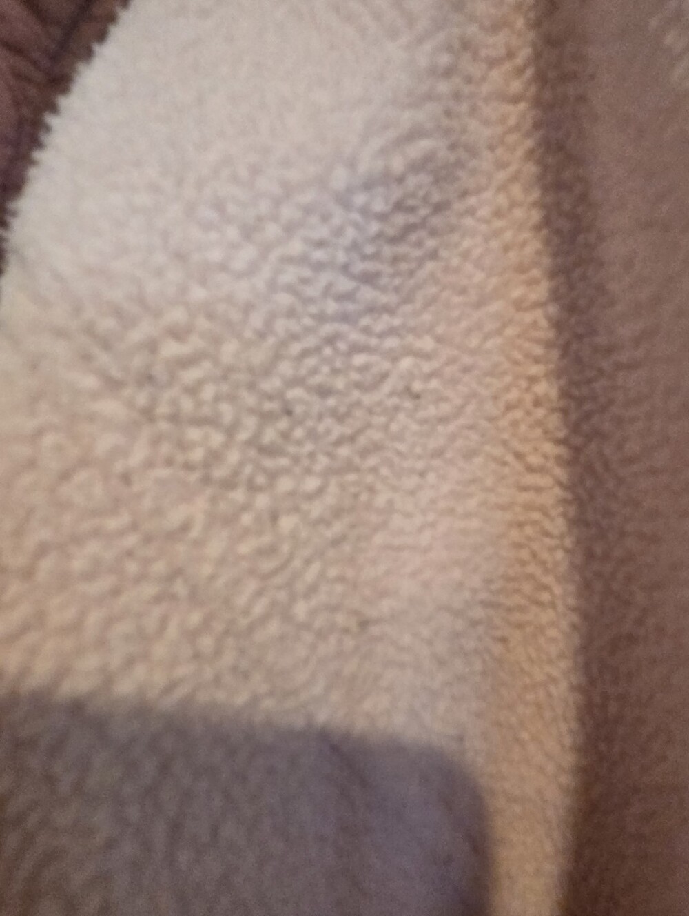 The North Face Jacket Large Royal Arch Parka Sherpa Fleece Quilted Hood Hiking - Picture 9 of 15